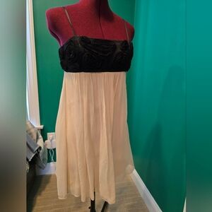 BCBGMaxazria Black and Cream Silk Chiffon Beaded Dress, Size 2